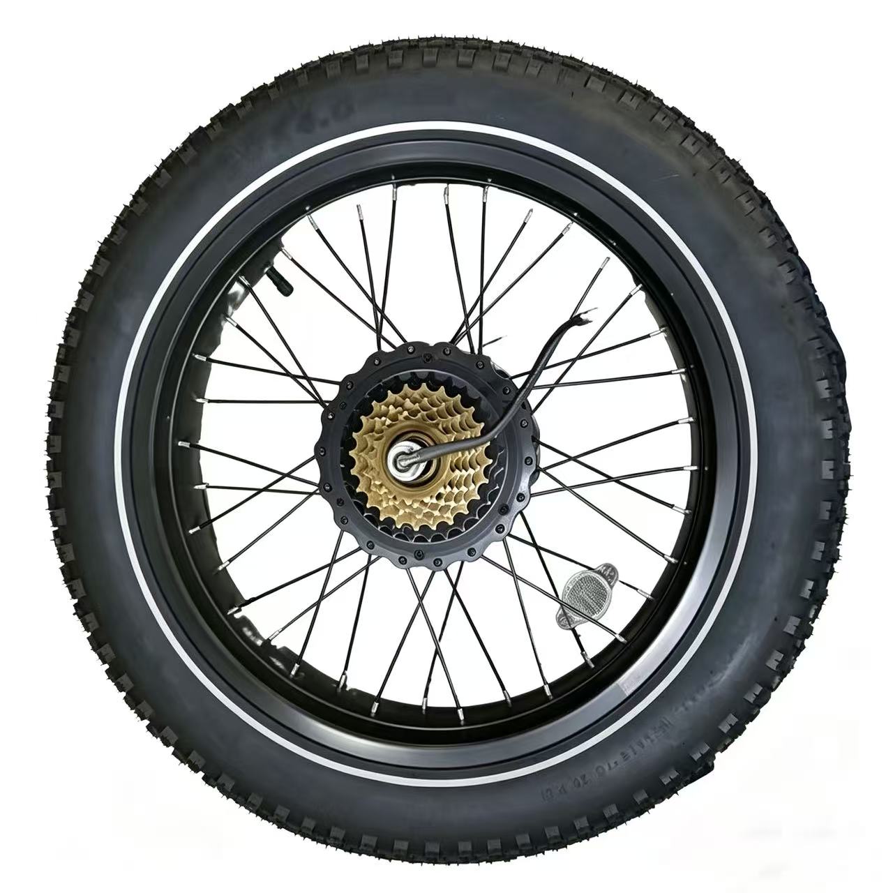 Cityfun S motor（20‑inch snow fat tire bike motor, 48V500W, 20H310R110#.  M12×13G×36H×170,  232×167mm.）