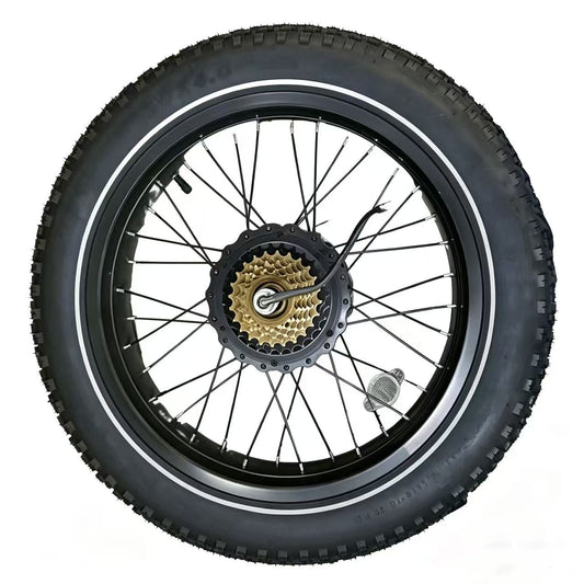 Cityfun S motor（20‑inch snow fat tire bike motor, 48V500W, 20H310R110#.  M12×13G×36H×170,  232×167mm.）
