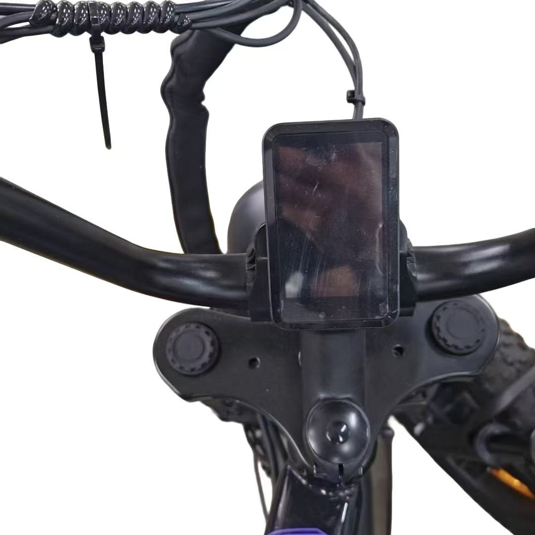 Cityfun (YL81F Center-Mount Pseudo-Color LCD Display : Dashboard/Controller)