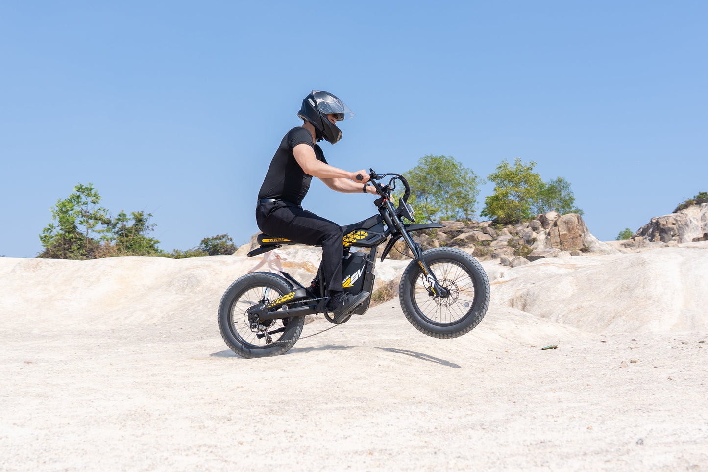 Likebike off road  KN110(2000w;50miles range;Long saddle)
