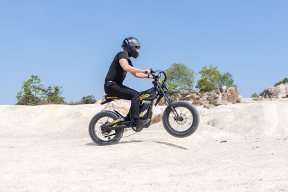 Likebike off road  KN110(2000w;50miles range;Long saddle)
