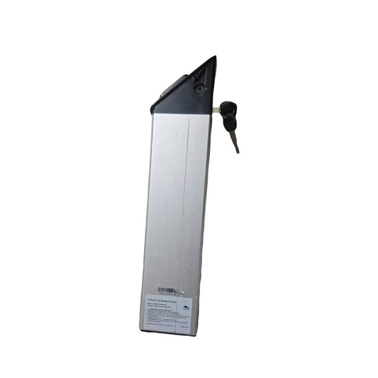 Cityfun S Battery (LK20)(UL,48V10.4AH)